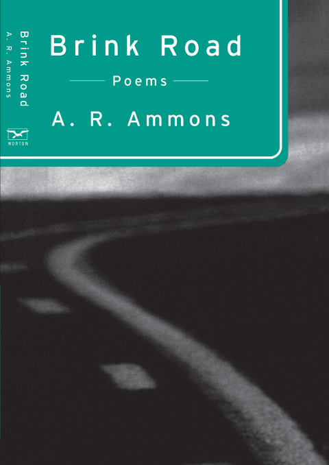 Cover image for book Brink Road