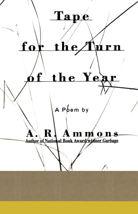 Cover image for book Tape for the Turn of the Year