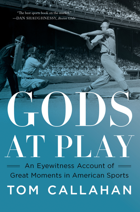 Cover image for book Gods at Play