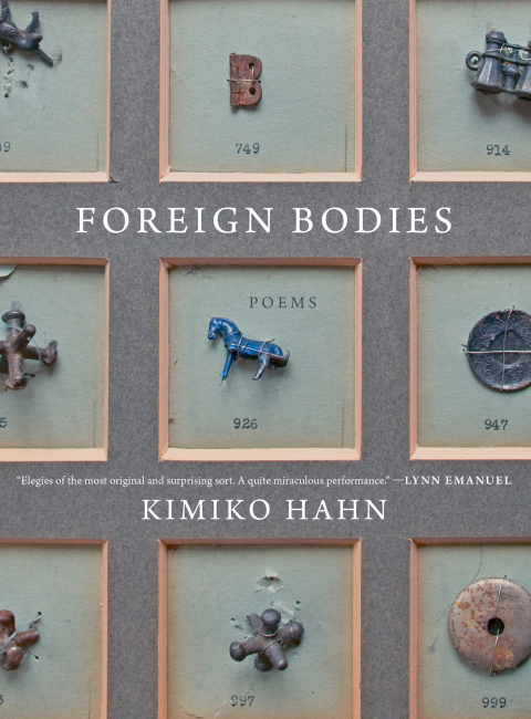 Cover image for book Foreign Bodies