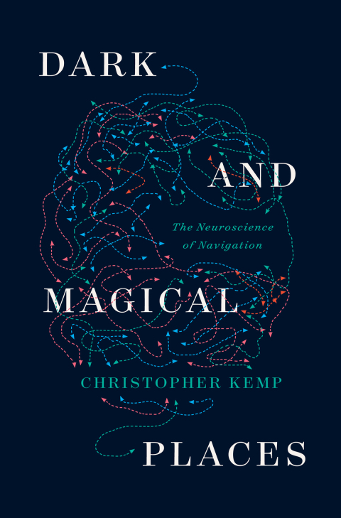 Cover image for book Dark and Magical Places