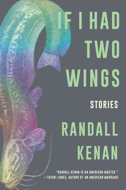 Cover image for book If I Had Two Wings