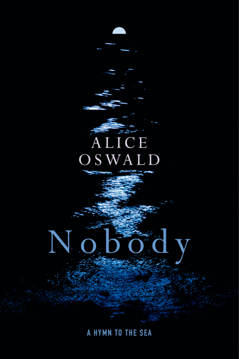 Cover image for book Nobody