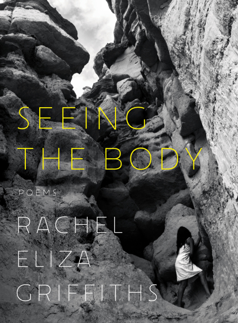 Cover image for book Seeing the Body