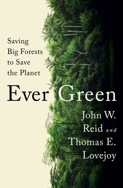 Cover image for book Ever Green