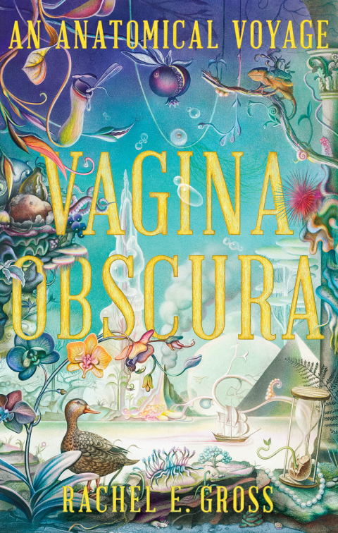Cover image for book Vagina Obscura
