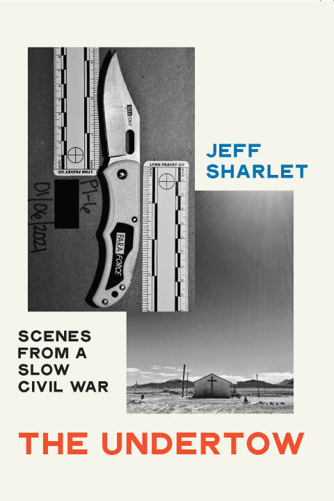 Cover image for book The Undertow: Scenes from a Slow Civil War