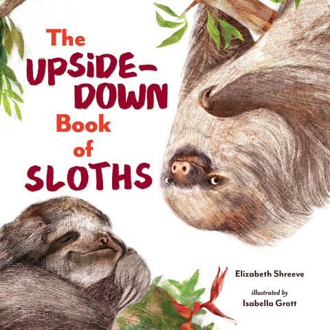 Cover image for book The Upside-Down Book of Sloths