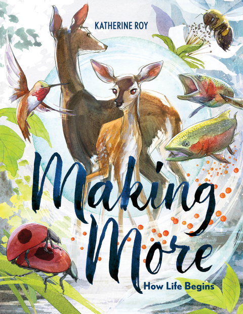 Cover image for book Making More: How Life Begins