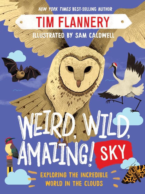 Cover image for book Weird, Wild, Amazing! Sky
