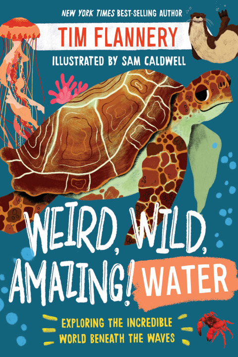 Cover image for book Weird, Wild, Amazing! Water