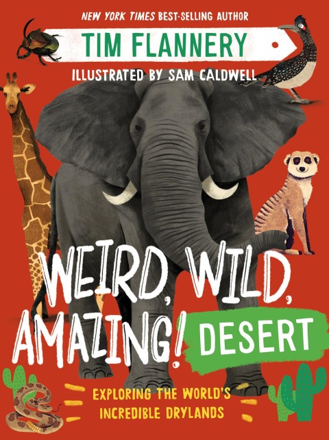 Cover image for book Weird, Wild, Amazing! Desert