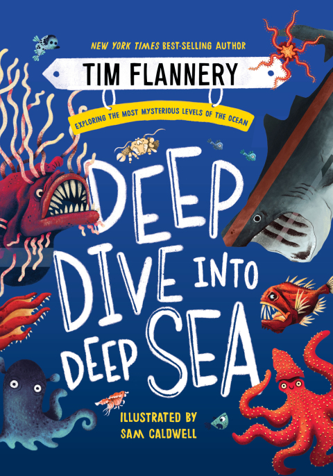 Cover image for book Deep Dive into Deep Sea