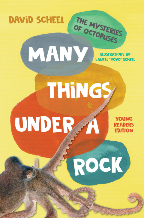 Cover image for book Many Things Under a Rock Young Readers Edition: The Mysteries of Octopuses