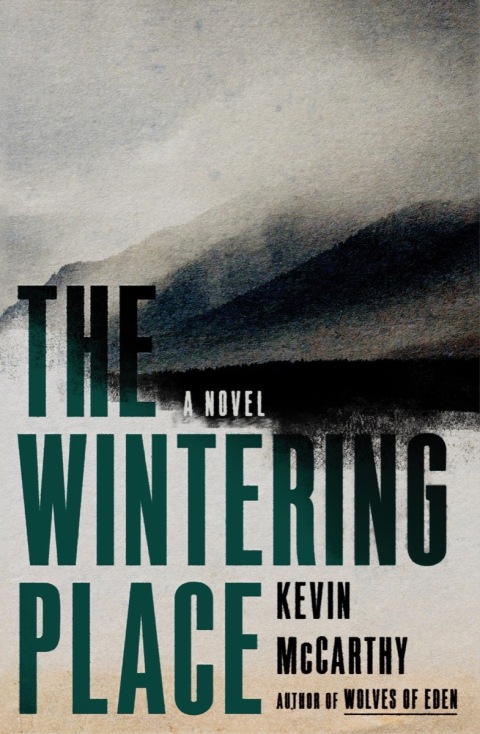 Cover image for book The Wintering Place: A Novel
