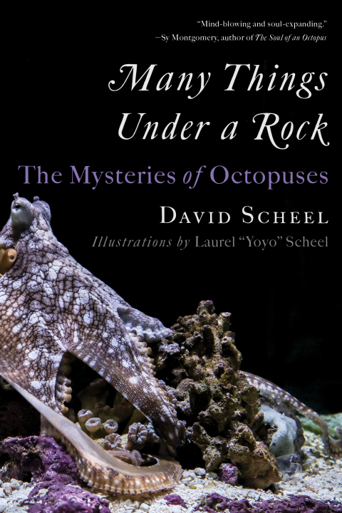 Cover image for book Many Things Under a Rock
