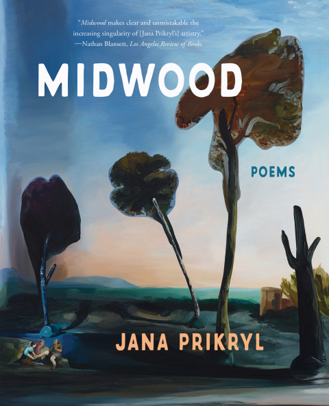 Cover image for book Midwood
