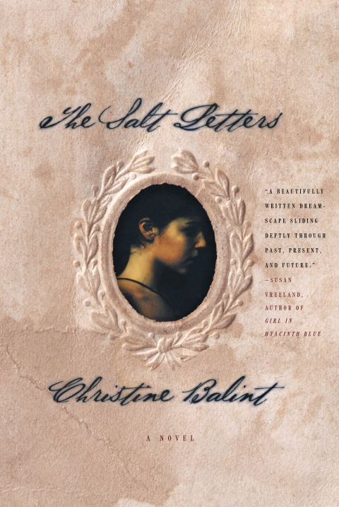 Cover image for book The Salt Letters