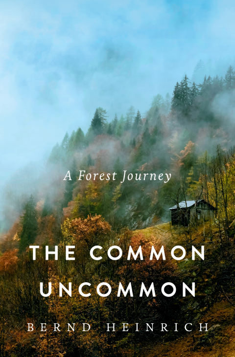 Cover image for book The Common Uncommon