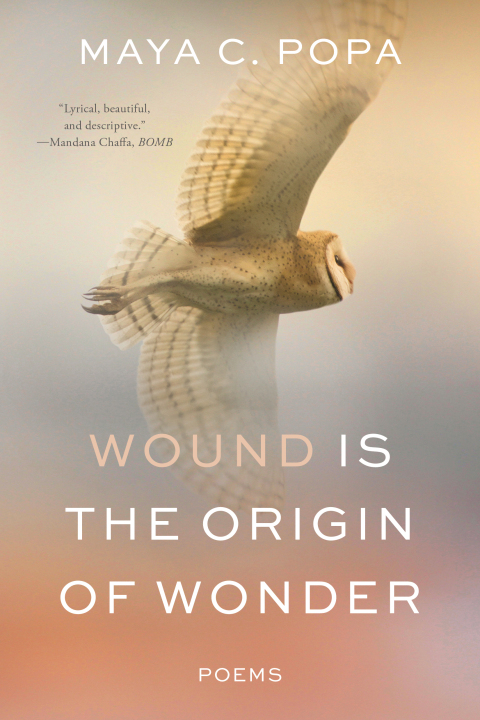Cover image for book Wound Is the Origin of Wonder: Poems