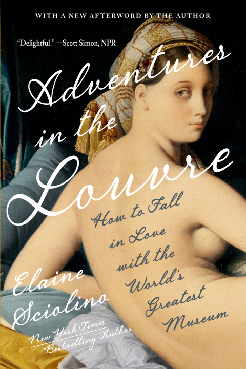 Cover image for book Adventures in the Louvre: How to Fall in Love with the World's Greatest Museum