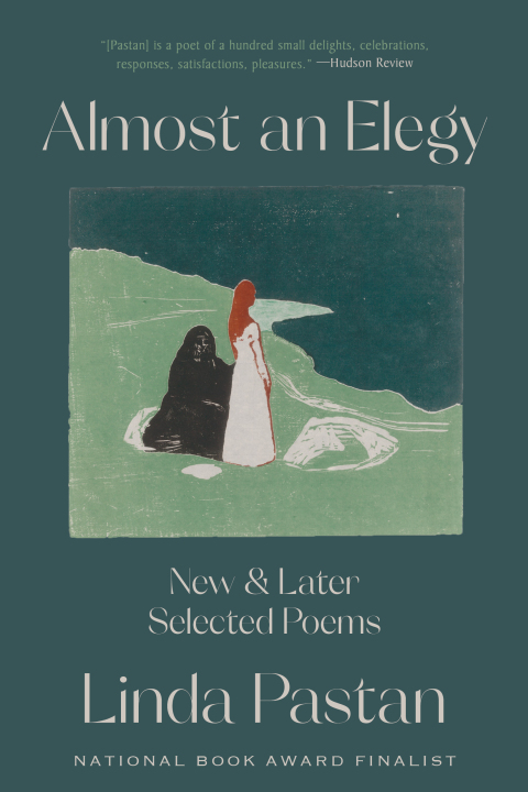 Cover image for book Almost an Elegy: New and Later Selected Poems