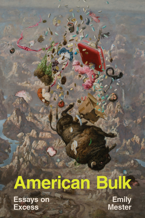 Cover image for book American Bulk: Essays on Excess