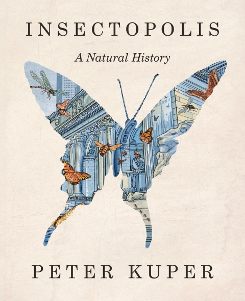 Cover image for book Insectopolis: A Natural History