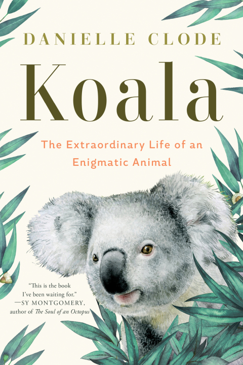 Cover image for book Koala