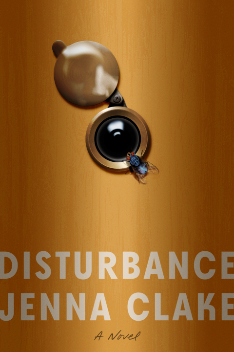 Cover image for book Disturbance