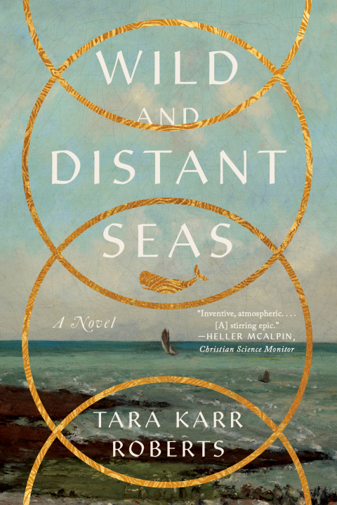 Cover image for book Wild and Distant Seas: A Novel