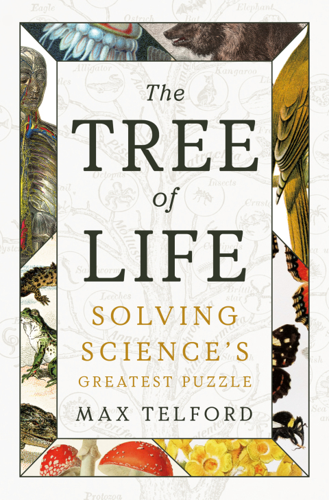 Cover image for book The Tree of Life