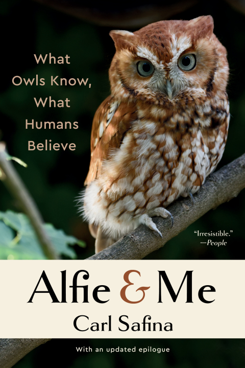 Cover image for book Alfie and Me: What Owls Know, What Humans Believe
