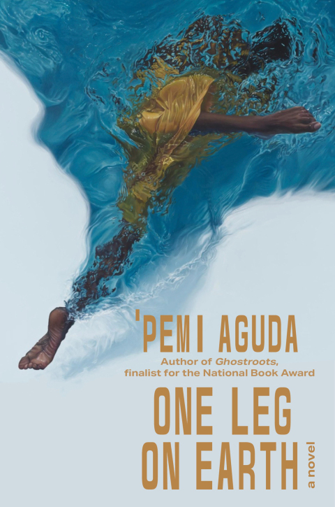 Cover image for book One Leg on Earth