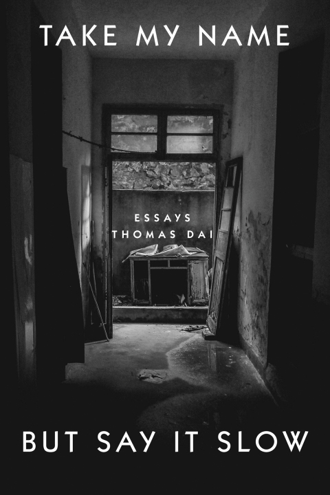 Cover image for book Take My Name But Say It Slow: Essays