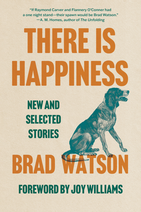 Cover image for book There Is Happiness: New and Selected Stories