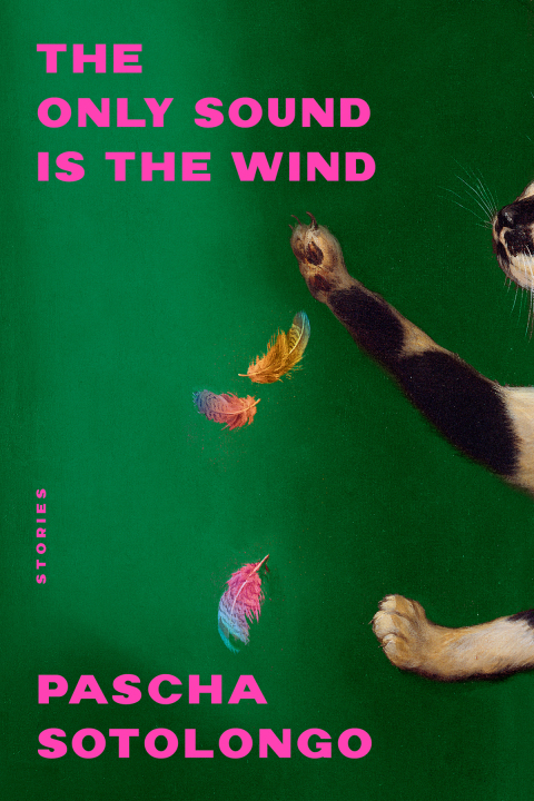 Cover image for book The Only Sound Is the Wind: Stories