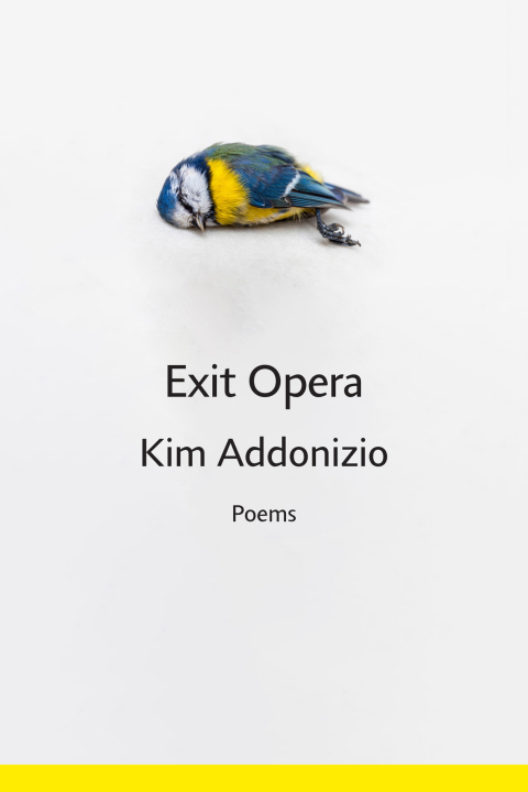 Cover image for book Exit Opera: Poems