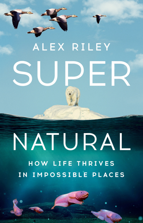 Cover image for book Super Natural