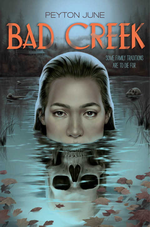 Cover image for book Bad Creek