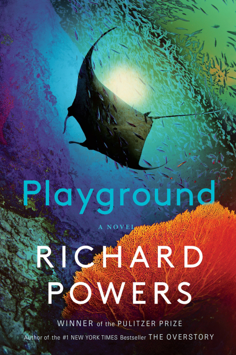 Cover image for book Playground: A Novel