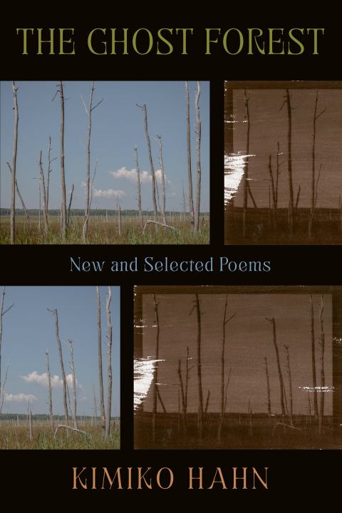Cover image for book The Ghost Forest: New and Selected Poems