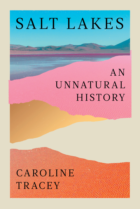 Cover image for book Salt Lakes