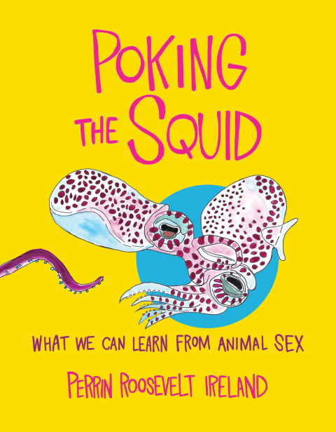 Cover image for book Poking the Squid