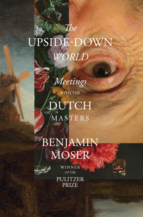 Cover image for book The Upside-Down World: Meetings with the Dutch Masters
