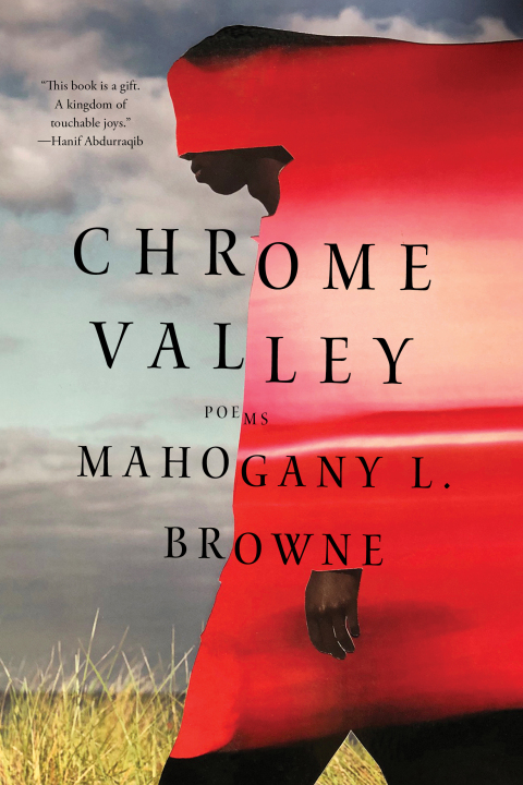 Cover image for book Chrome Valley: Poems