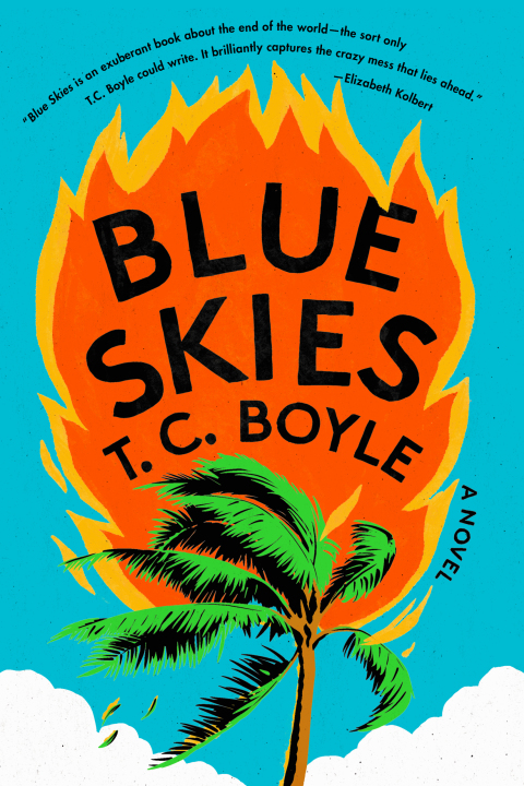 Cover image for book Blue Skies: A Novel