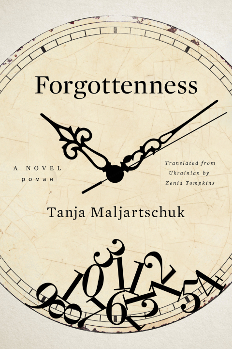 Cover image for book Forgottenness: A Novel
