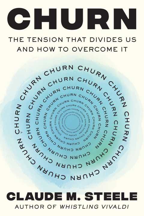 Cover image for book Churn