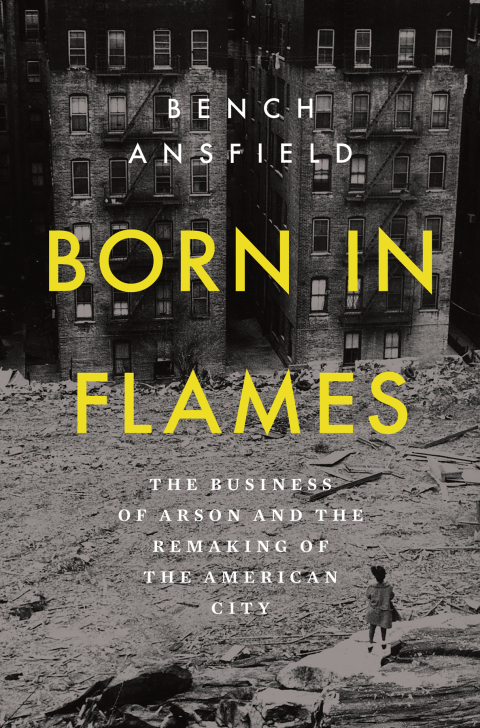Cover image for book Born in Flames
